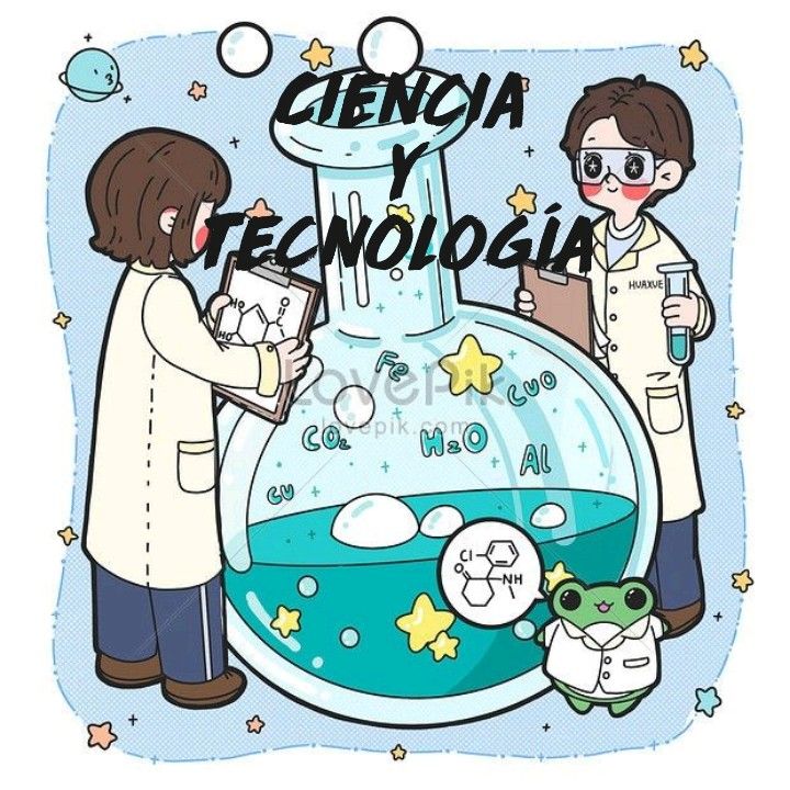 Imagen del Curso